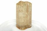 Gemmy Imperial Topaz Crystal Cluster - Zambia #231321-1